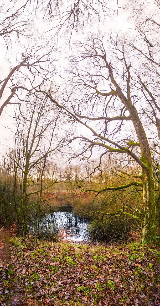 -Wasserläufer- MICHAELA Wasserzeichen