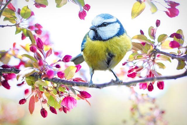 Frühling Michaela NZ WASSERZEICHEN